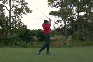 How Tiger Hits the Stinger