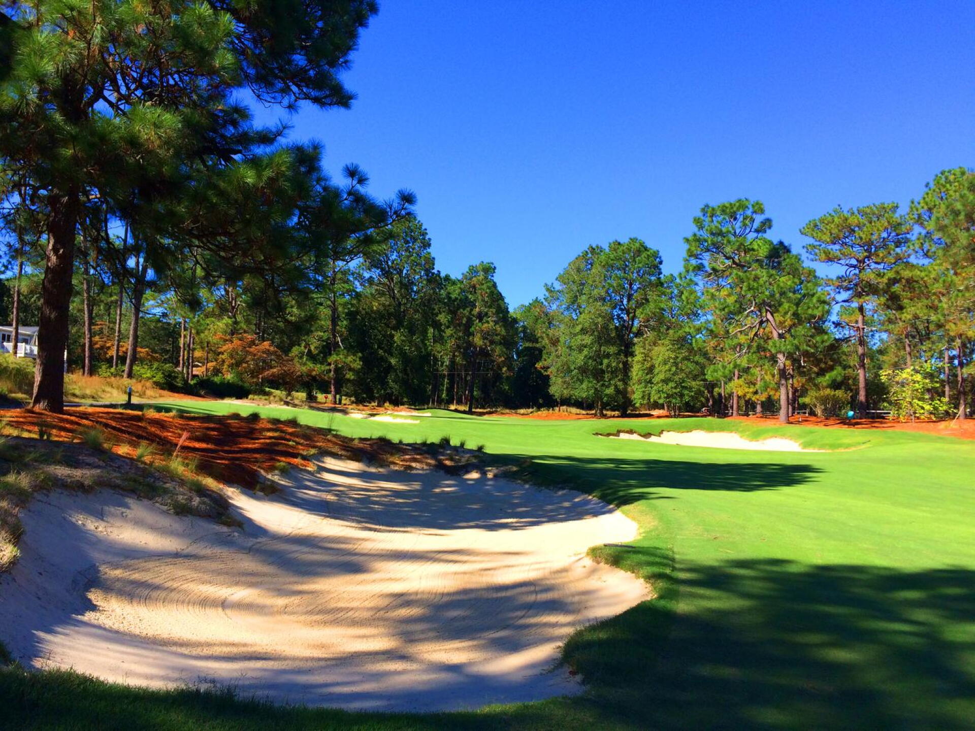 (Photo submitted by MikeBaileyGolf on 11/01/2017)
