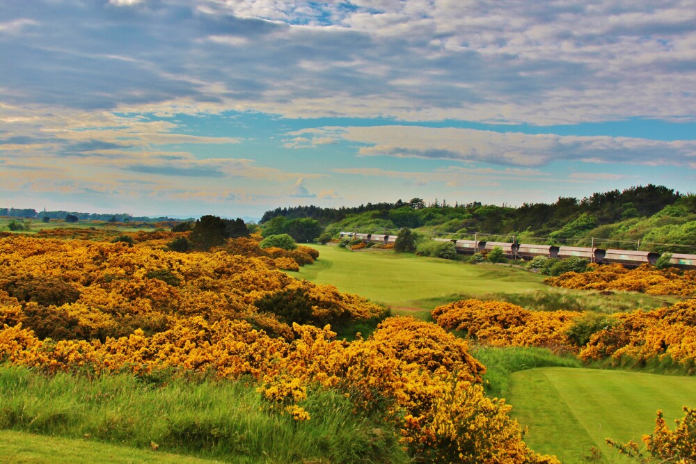 Royal Troon Golf Club - Old Course - 11th