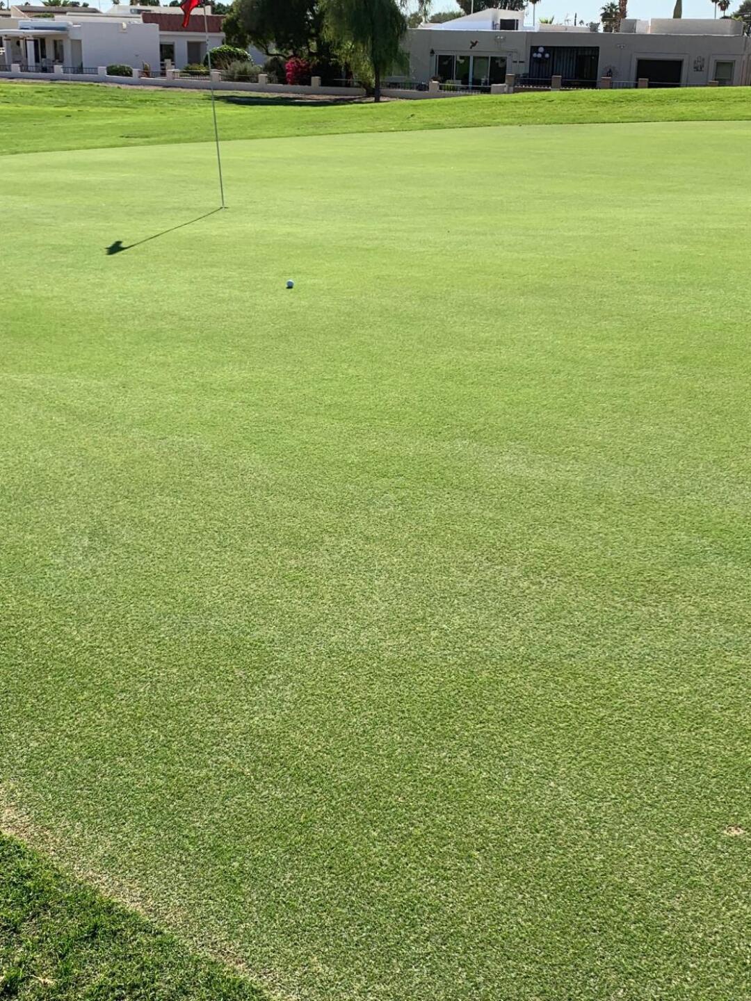 green conditions (Photo submitted by u000003377470 on 10/21/2019)