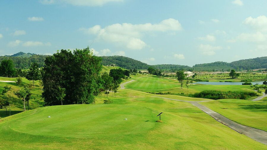 Silky Oak CC: #8