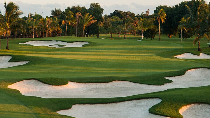 Doral - Blue Monster - No. 6