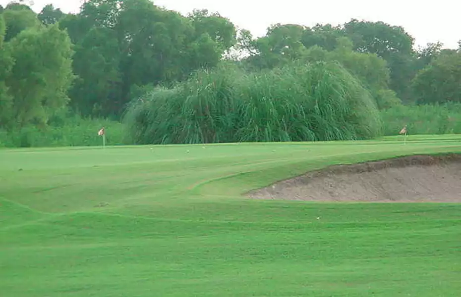 Pine Forest GC: Practice area