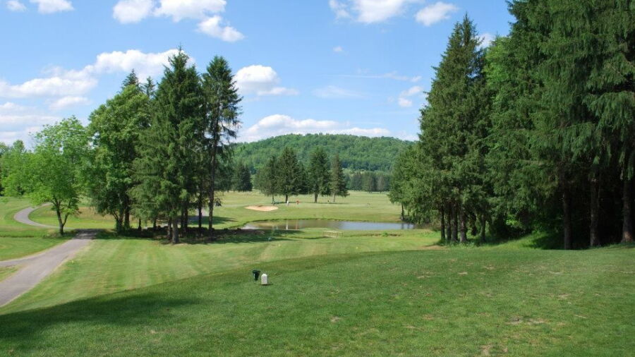 Bel Meadow CC: #16
