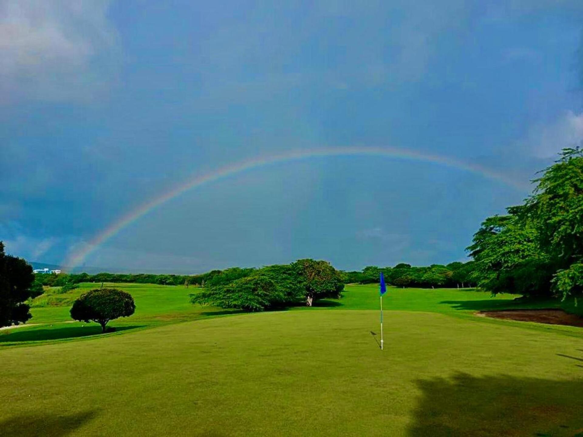 (Photo submitted by rTaaLmvITI7gzcrmgQm2 on 03/09/2021)