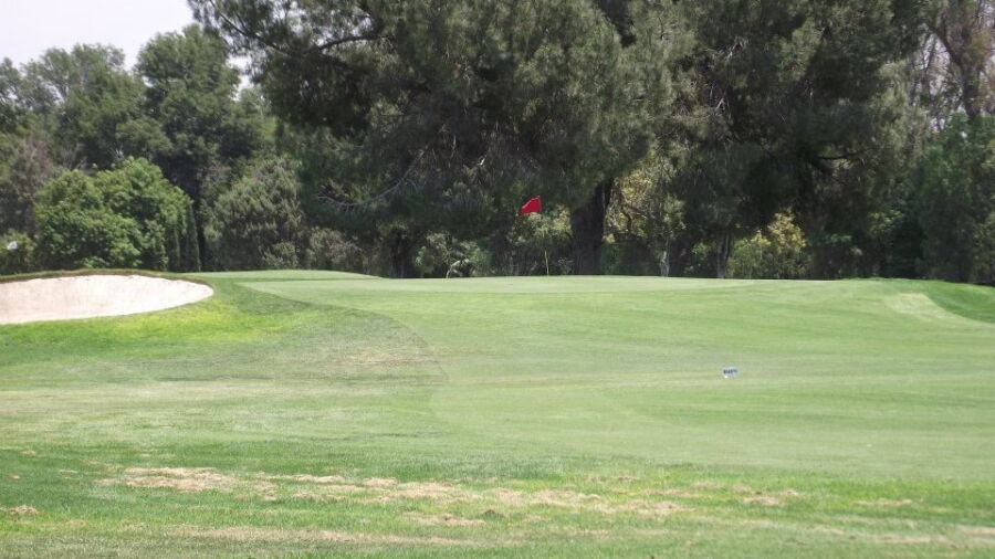 Paradise Knolls: #6