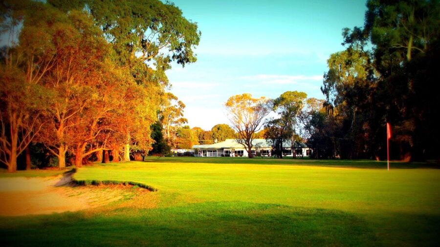 Cobden GC