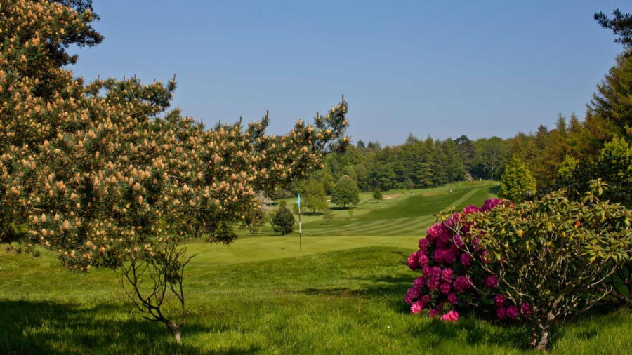 Royal Belfast GC