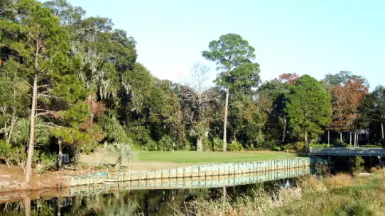 Palmetto Dunes' Hills Course - 17th