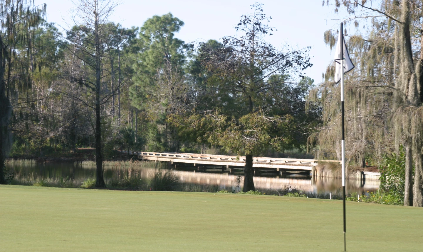 Tiburon Golf Club - Black course