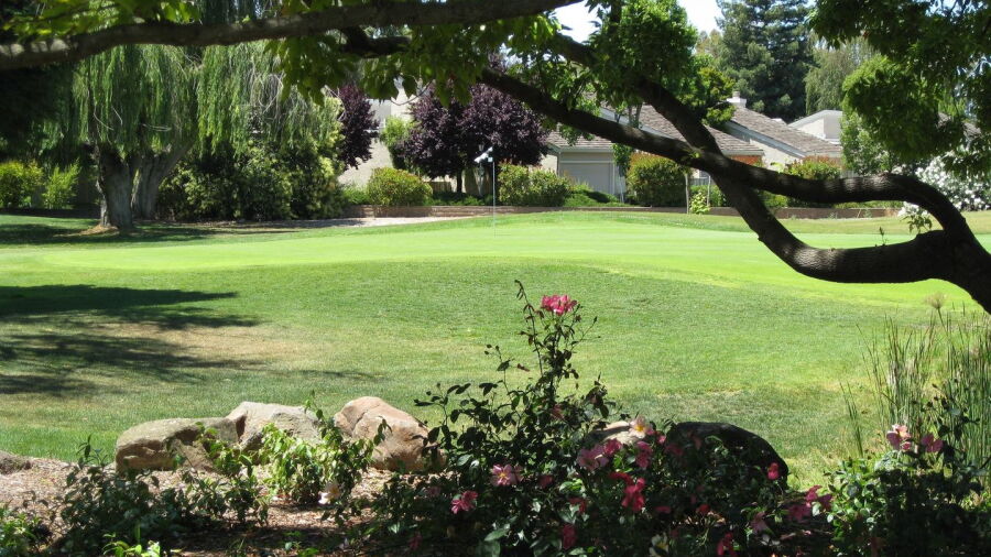 Pruneridge GC