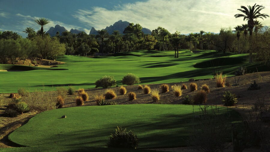 The Phoenician