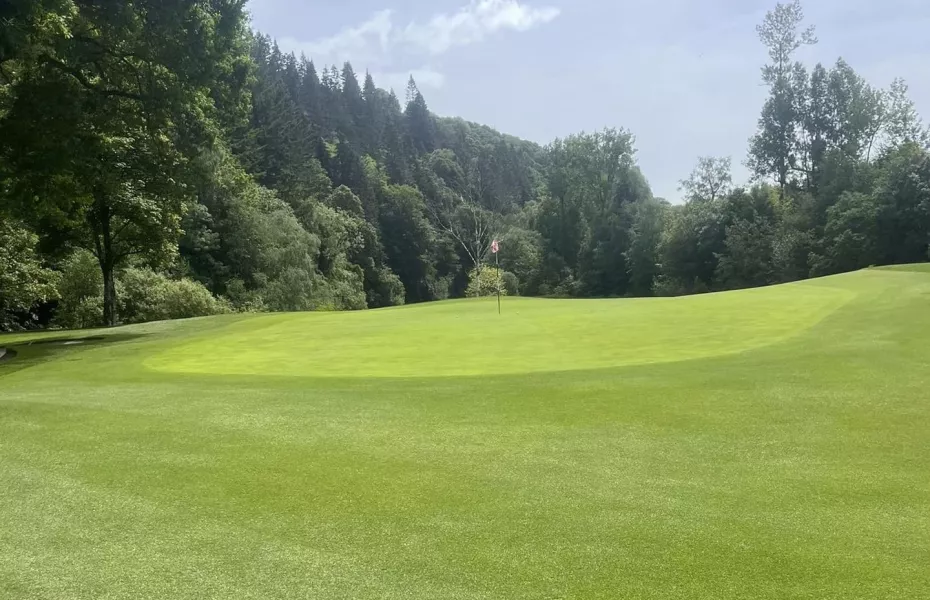 Woodenbridge GC
