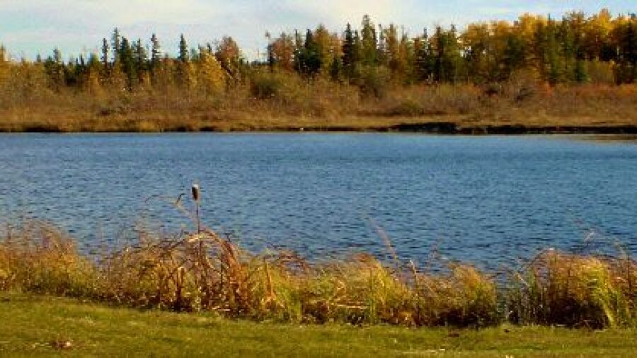 Edmonton Springs GC