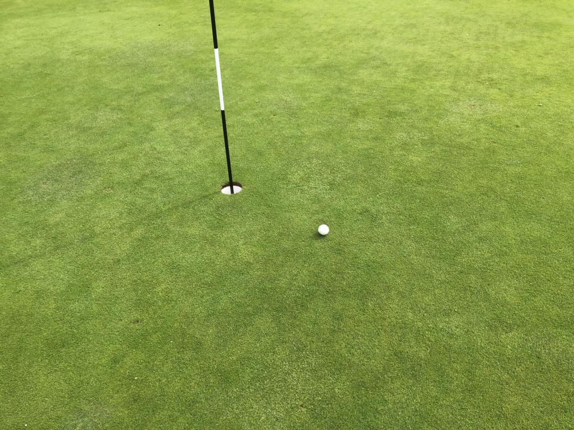 167yd 3 wood to here - must be good air at this course als😁 (Photo submitted by markmold7 on 08/22/2025)