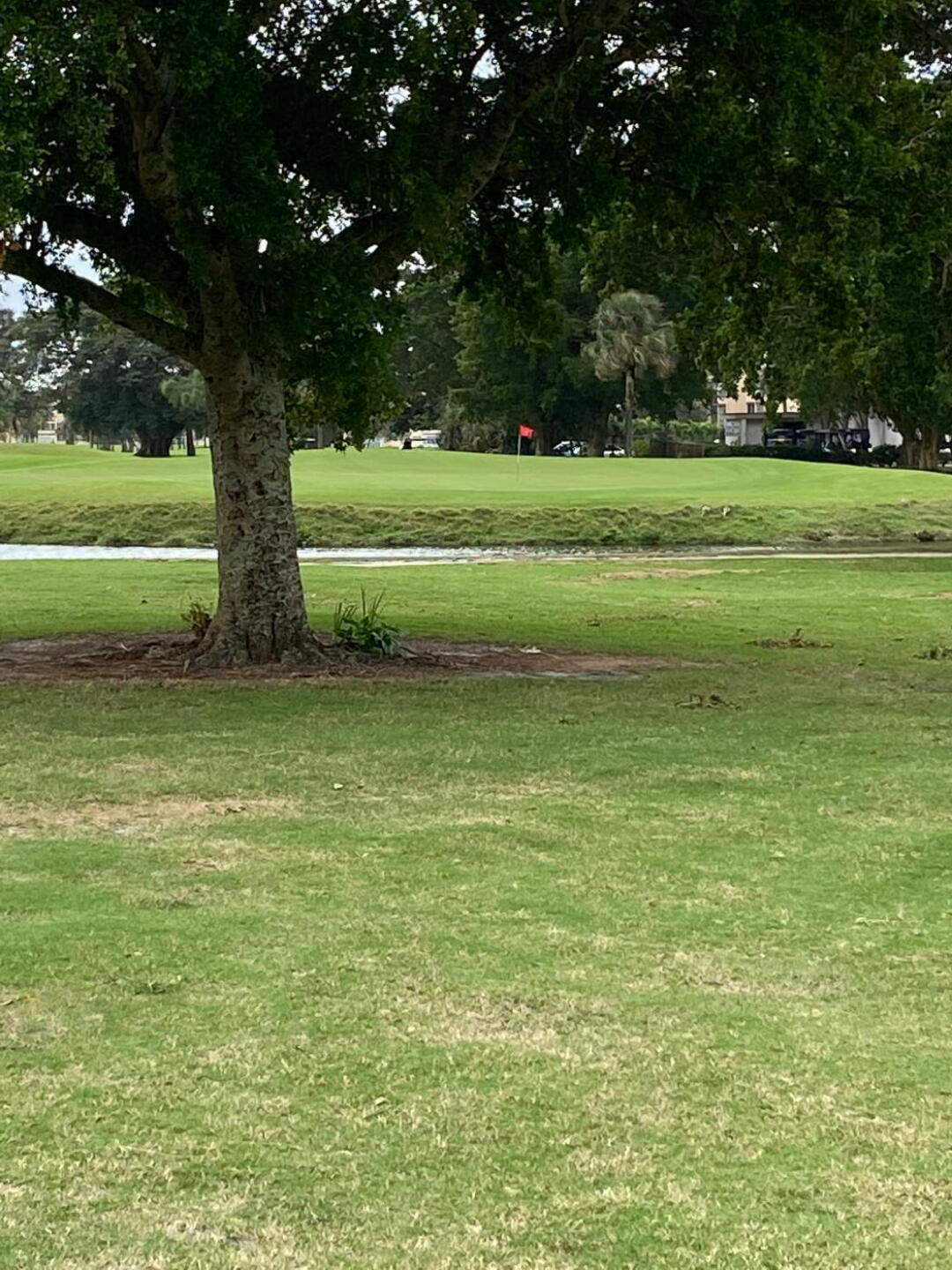 A look at the green from the lay up spot on a par 5 on the front nine (Photo submitted by PinnacleStaffer on 12/30/2019)