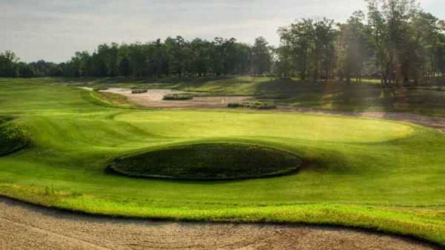 Barefoot RG - Dye: #14