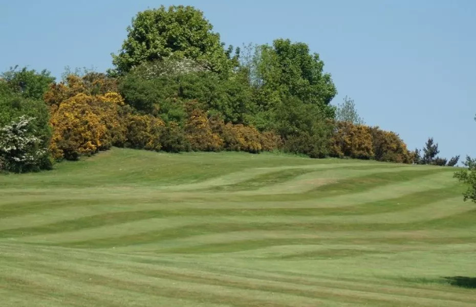 Crook GC: dogleg
