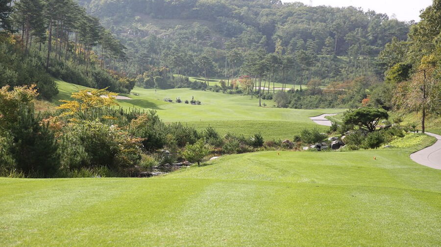 Centerium CC - Scotland