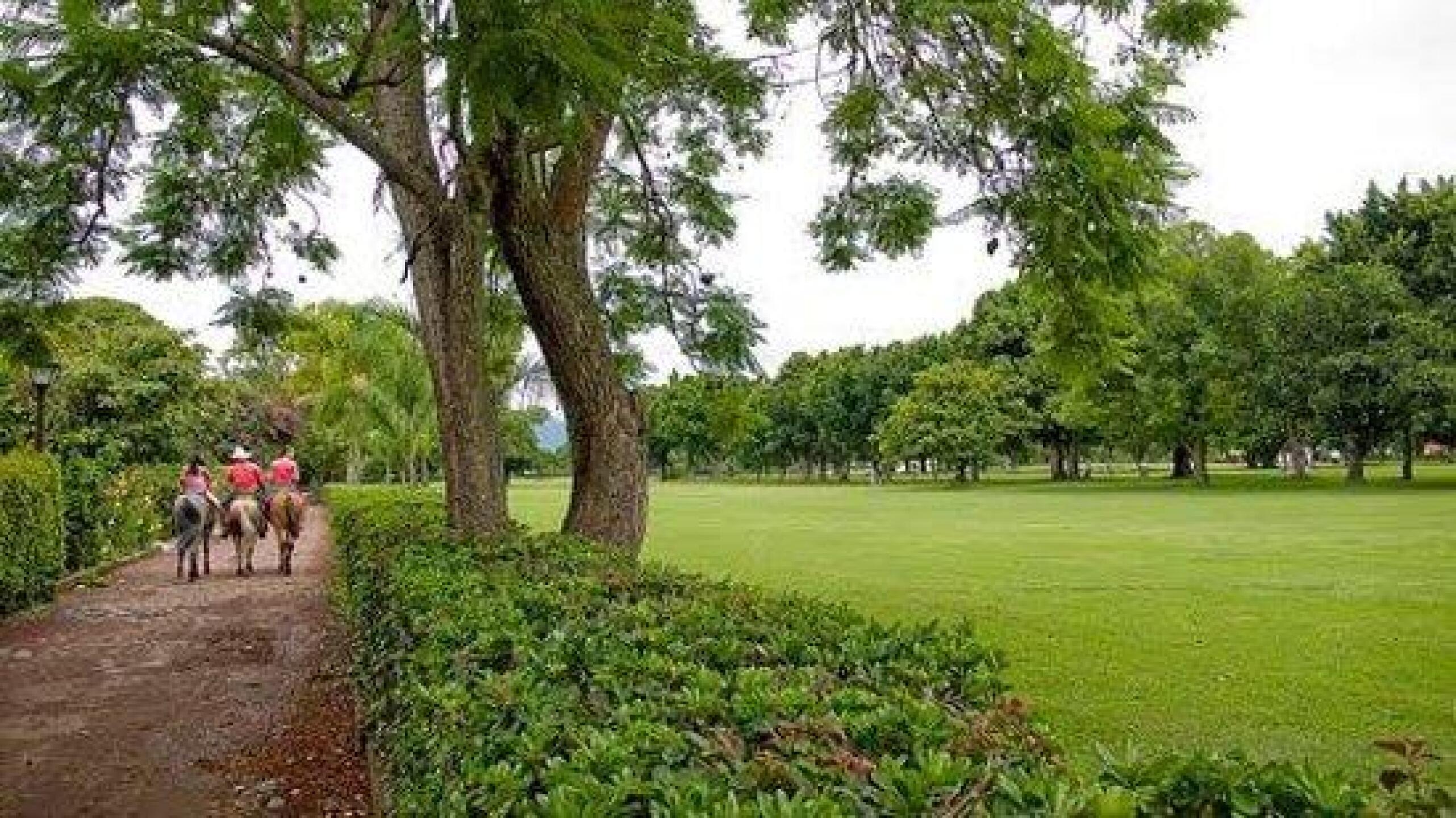 (Photo submitted by petrus1406 on 01/09/2018)