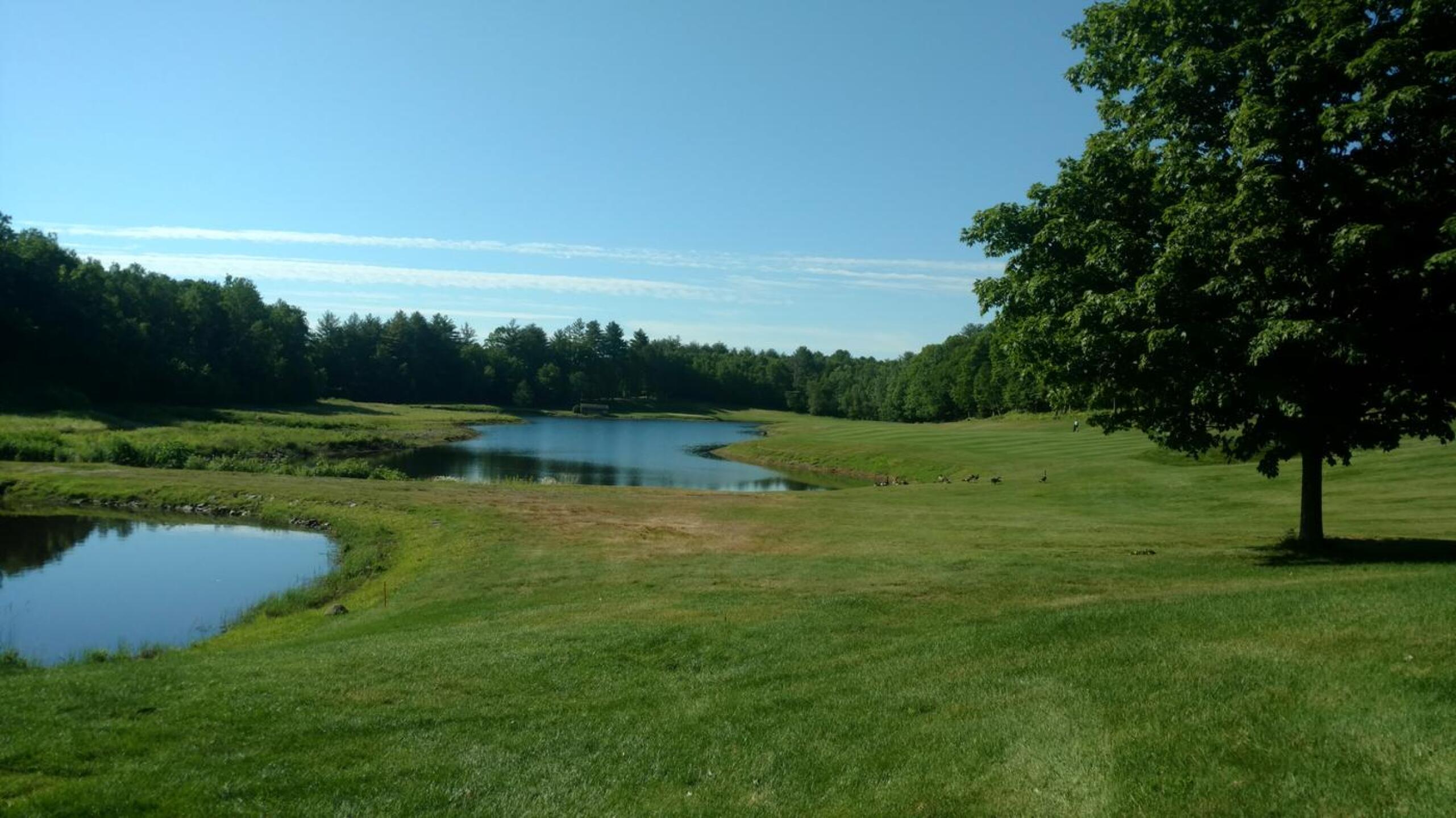 (Photo submitted by Back9Ben on 06/22/2018)