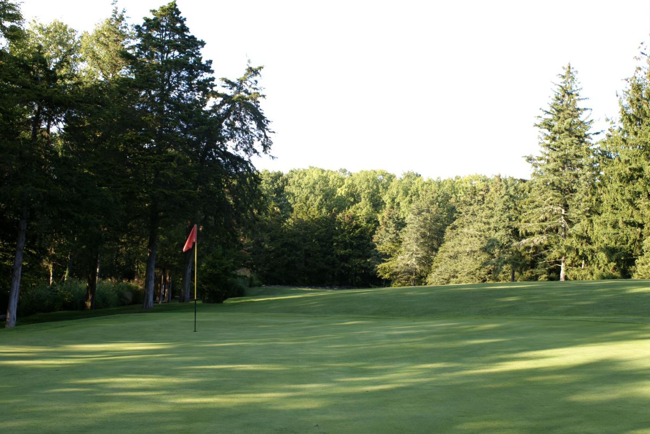 The shortest hole on the course, the eighth plays uphill from the tee towards a green edged by woods. (Photo submitted by AptlyLinked on 09/22/2024)
