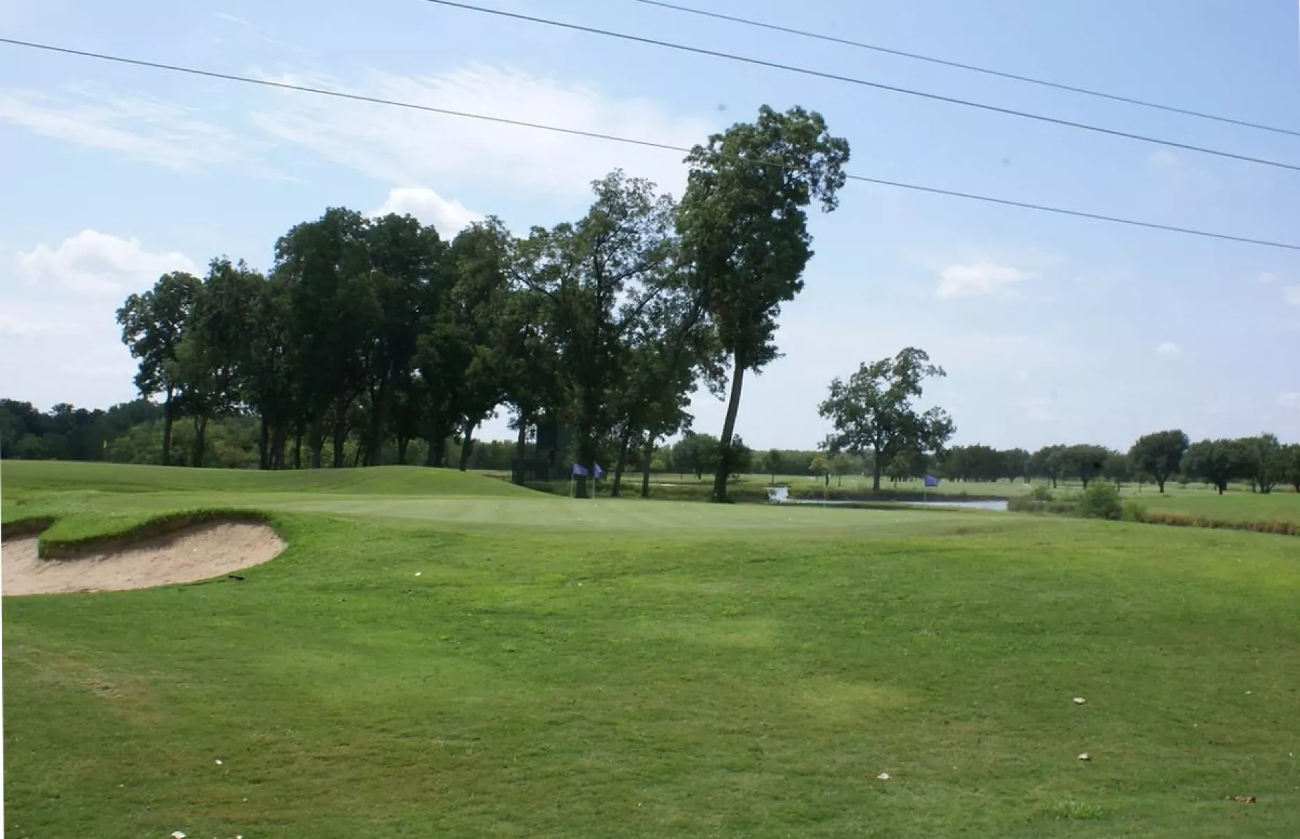 Fairway with pecan trees and water hazard