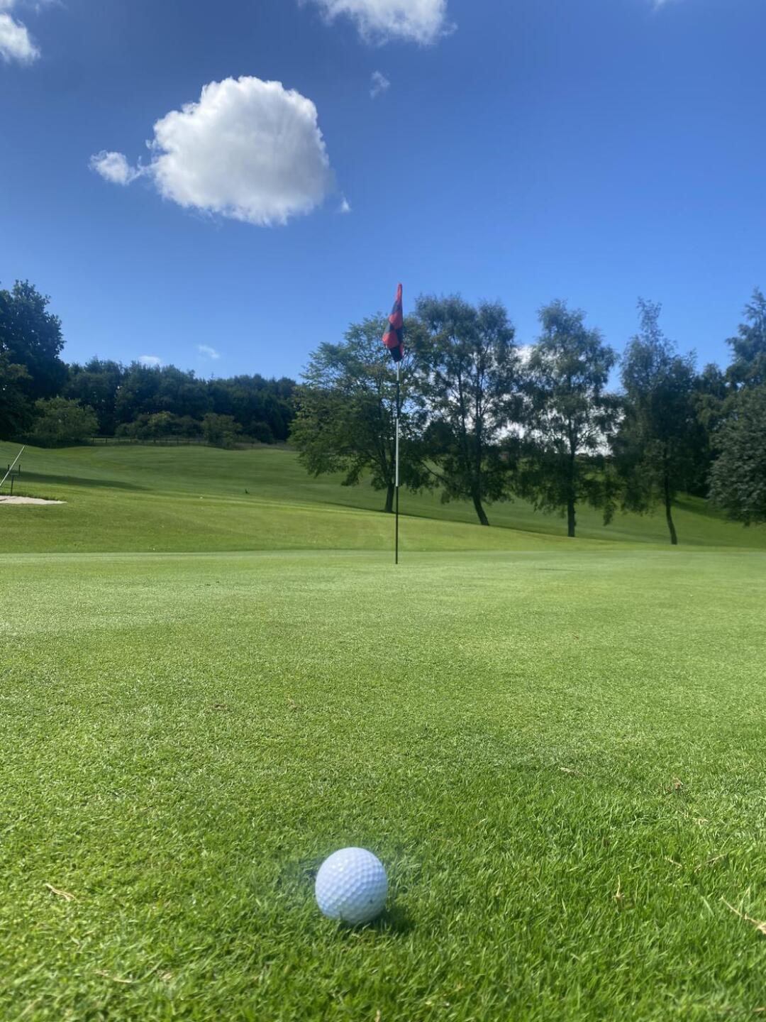 (Photo submitted by GGc4Z7xb5KsgTAkQLvqu on 06/26/2024)