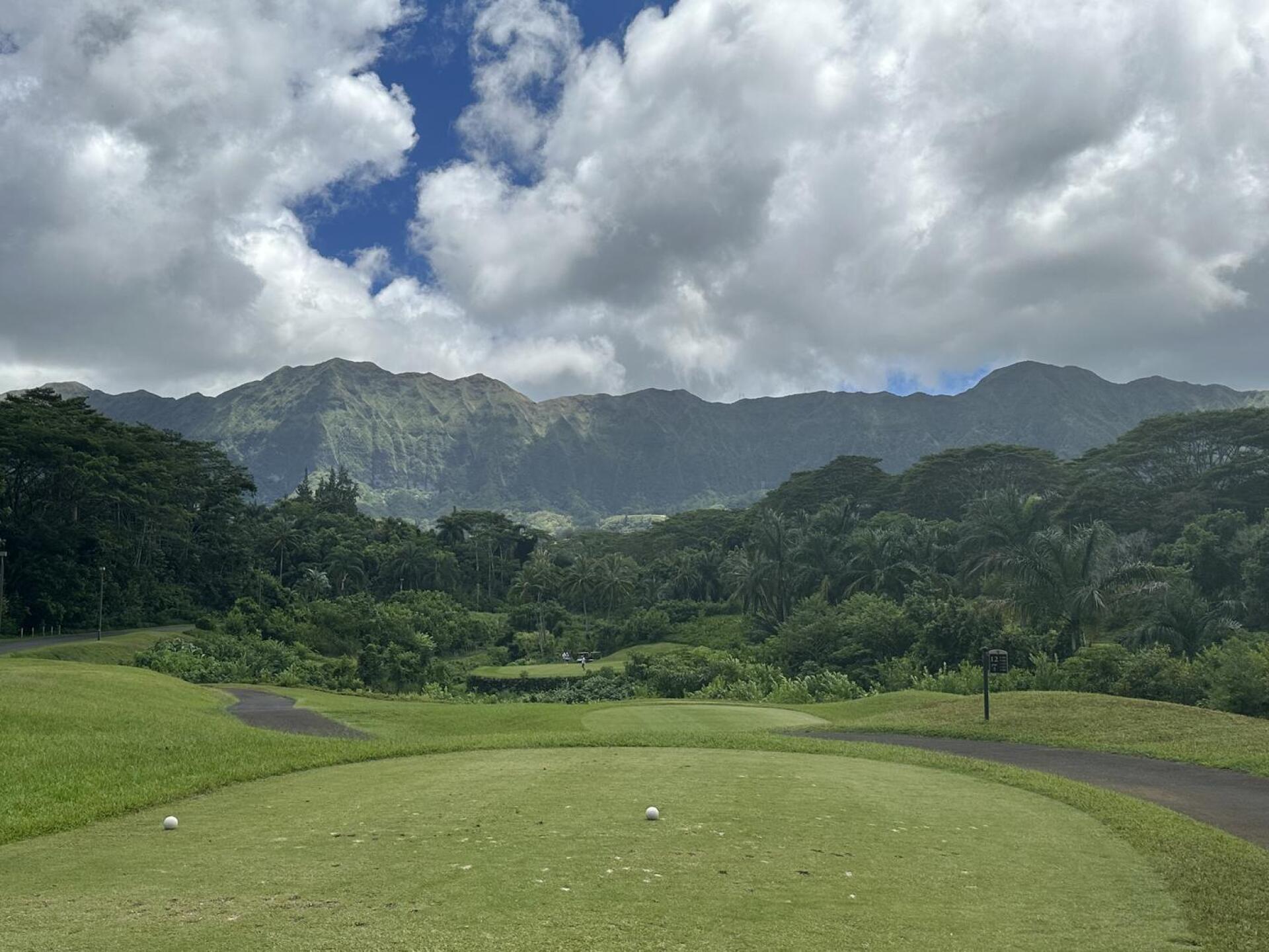 (Photo submitted by fincarp41 on 08/15/2024)