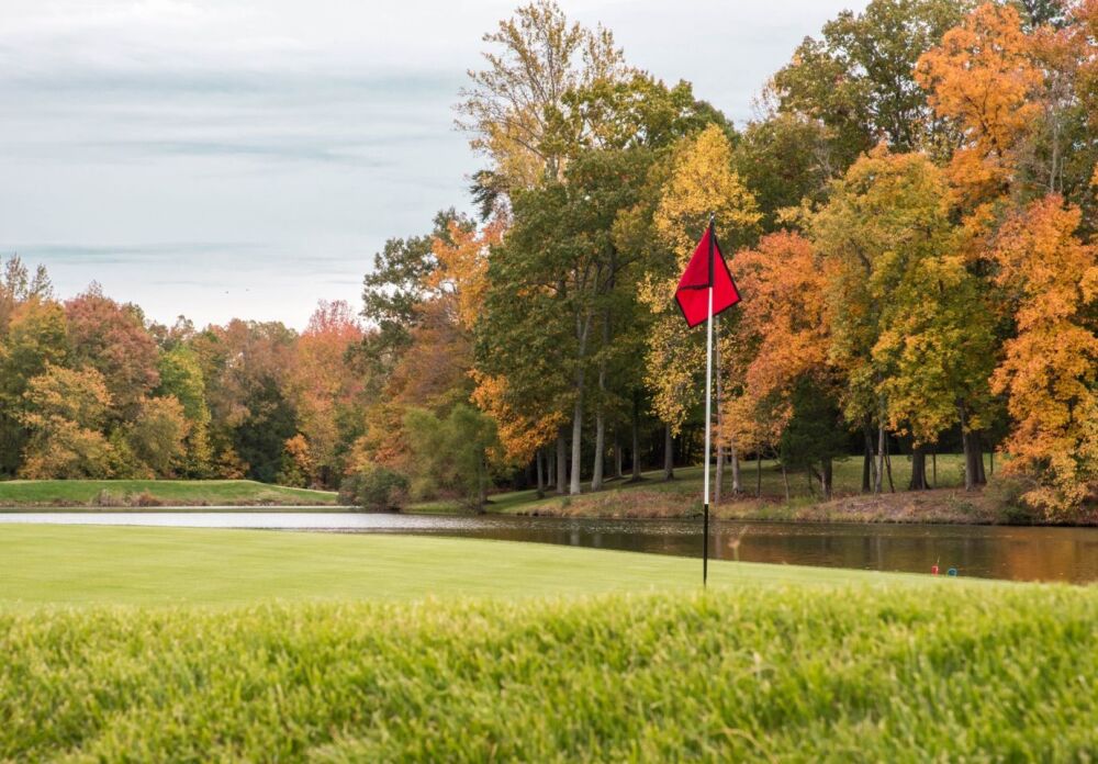 Hermitage CC