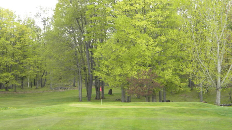 Willow Run GC: #4