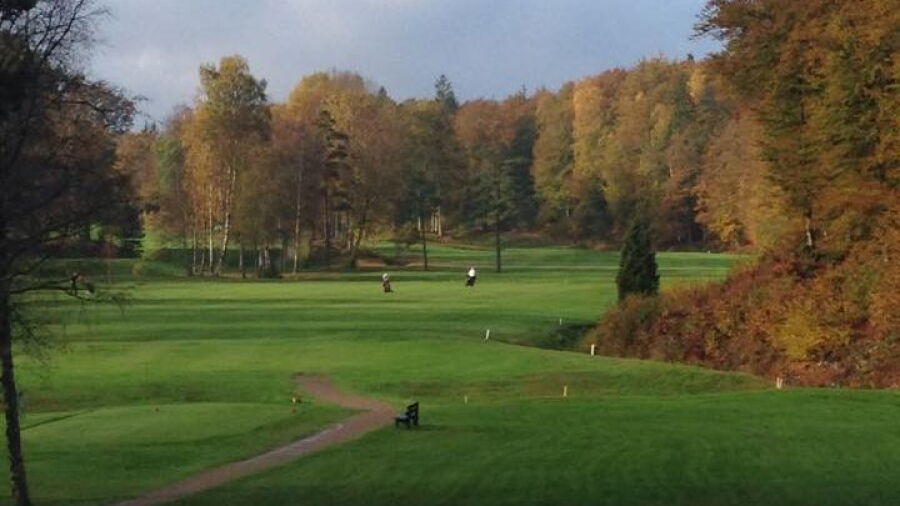Wittsjo GC: #6