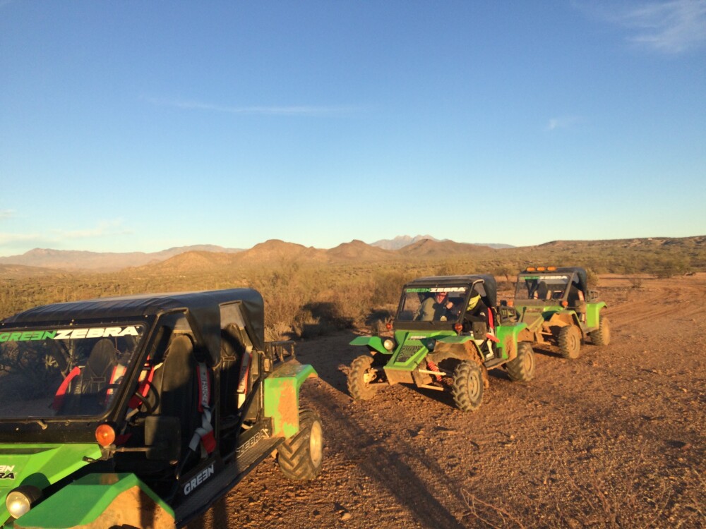 Tom-Tom cars in Scottsdale