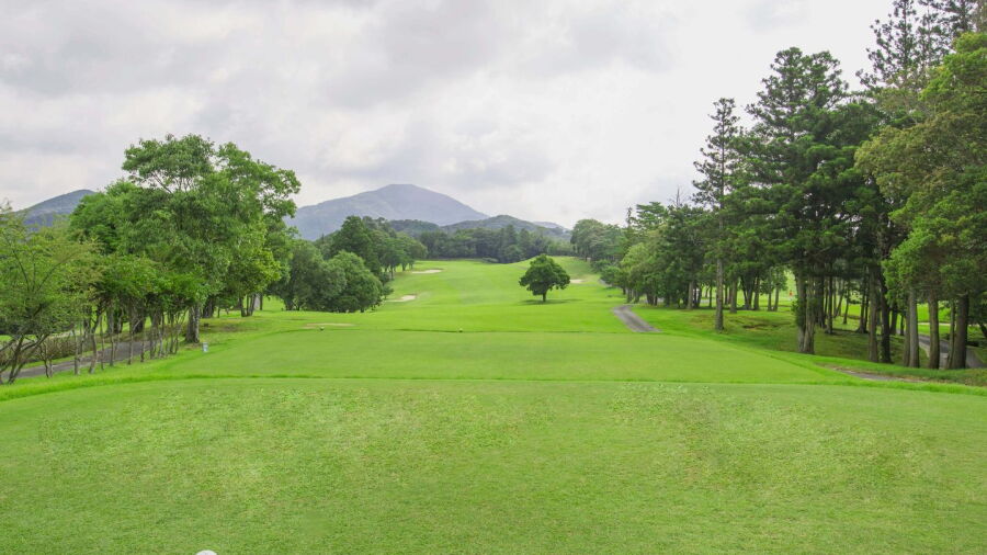 Toyotako GC: #13