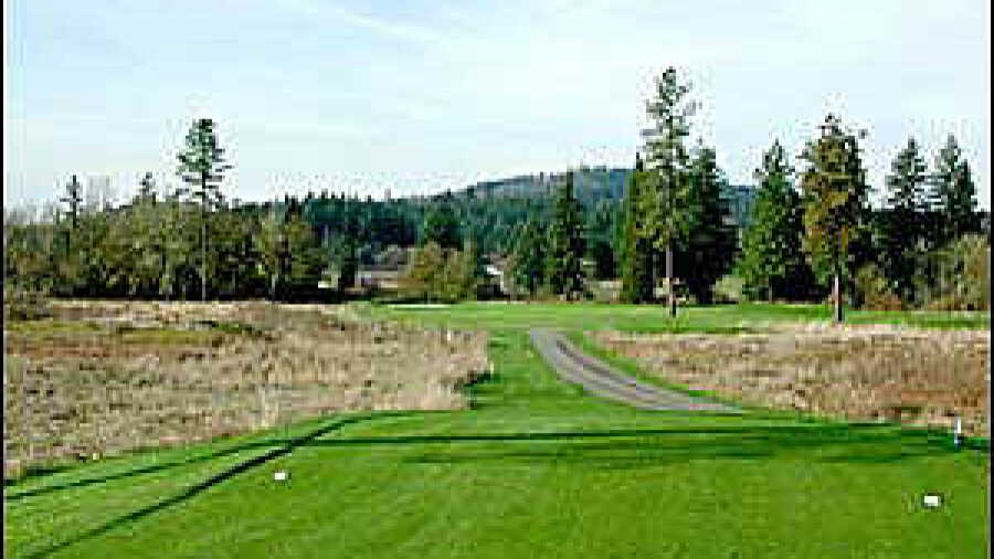 Mallard Creek #6