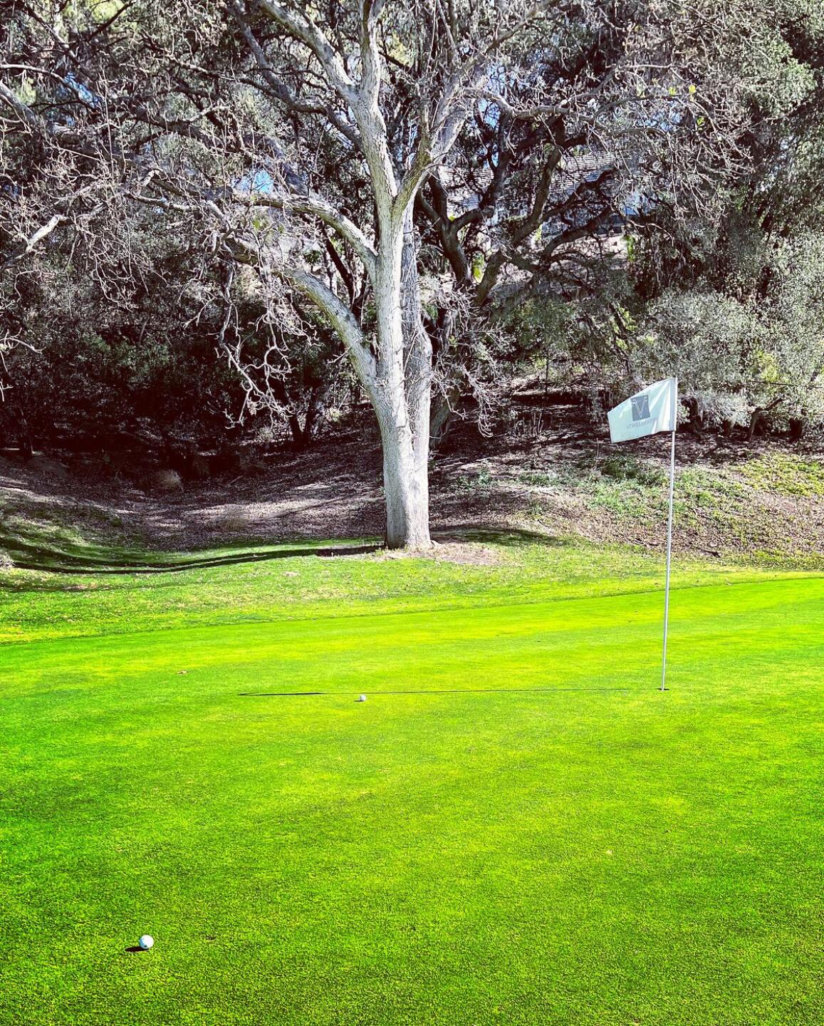 (Photo submitted by DebbyWestcott15 on 02/20/2022)