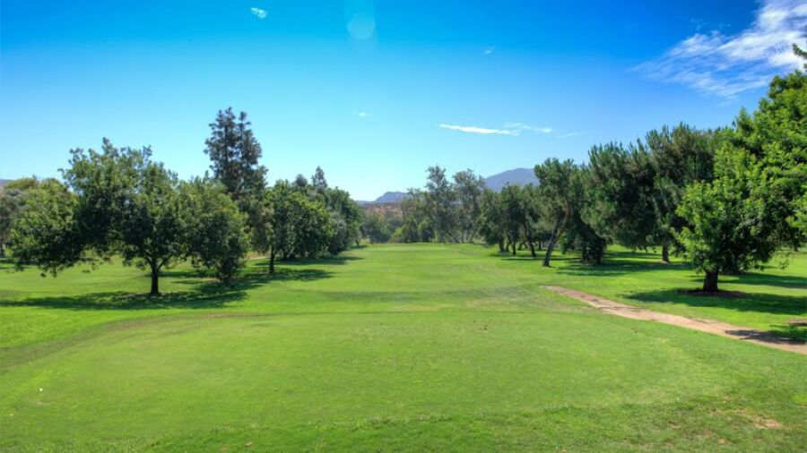 Pine Glen at Sycuan Resort: #10