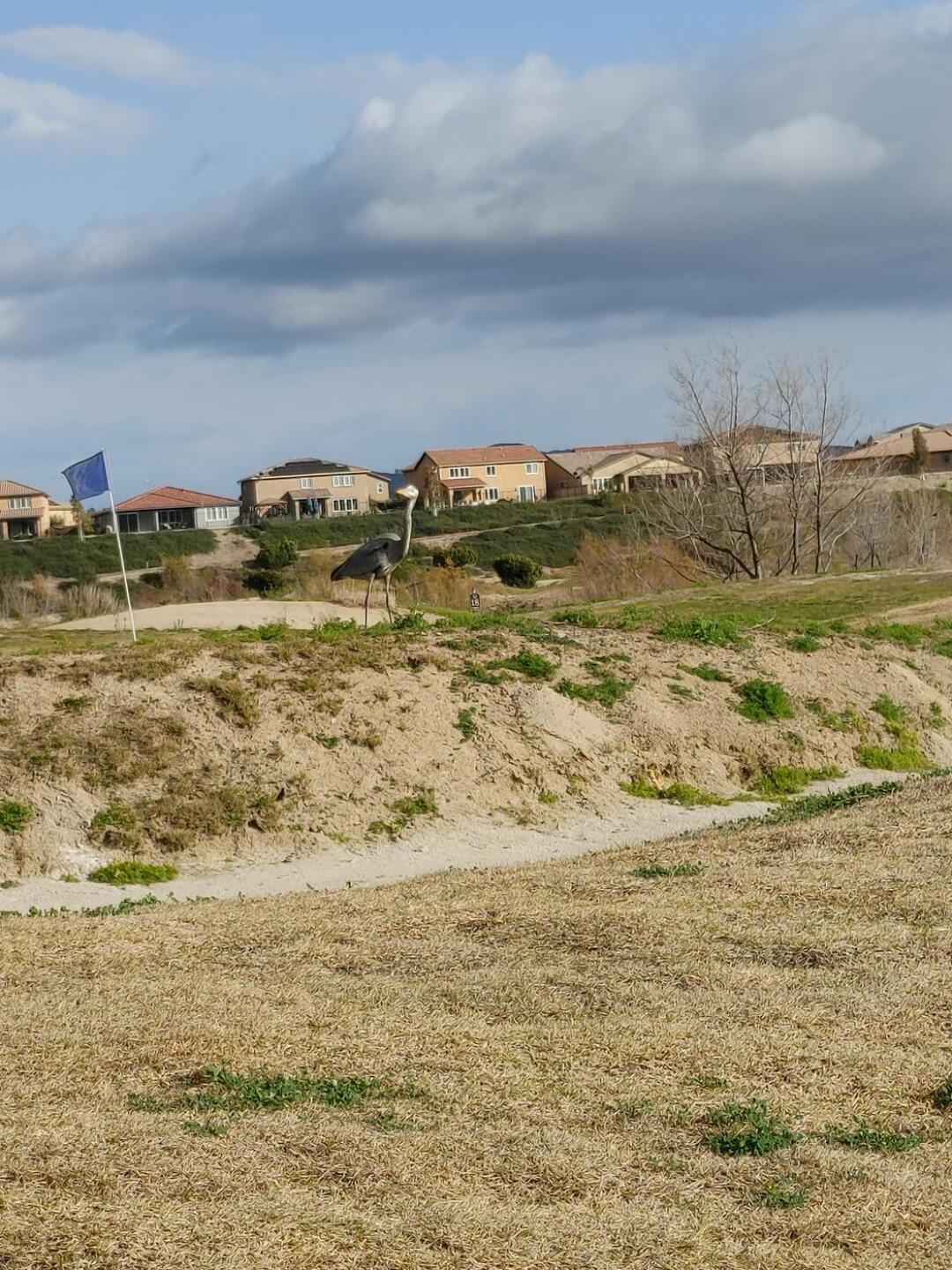 (Photo submitted by u000006664629 on 03/02/2023)