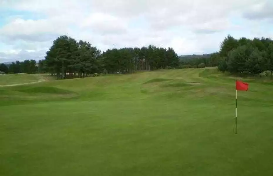 Forfar GC: #17