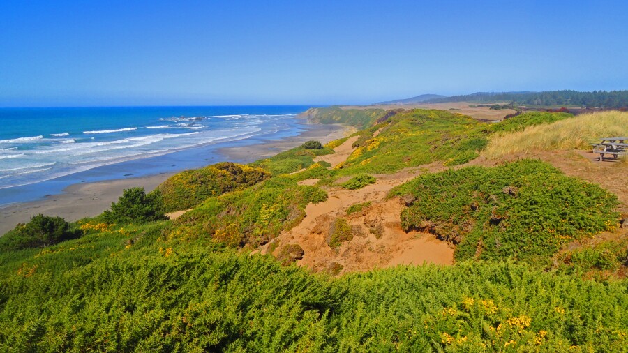 Bandon Dunes - Old Macdonald golf course - no. 7