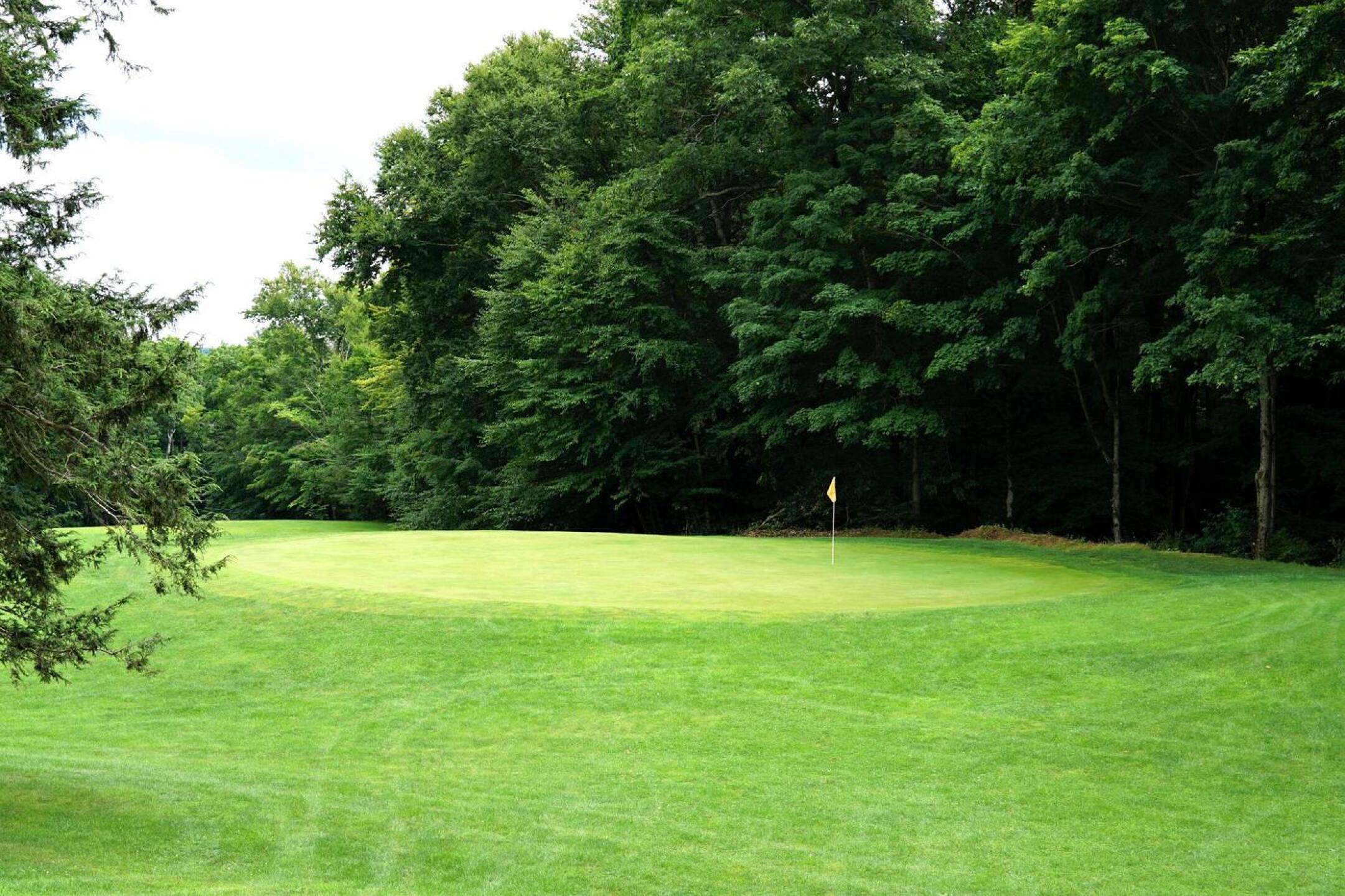 The sixth, my favorite hole, is a classic risk-reward hole of 275. I tried, but fell just short, ending at the base of the rise to this green complex. The tree on the left creates issues. (Photo submitted by AptlyLinked on 08/02/2022)