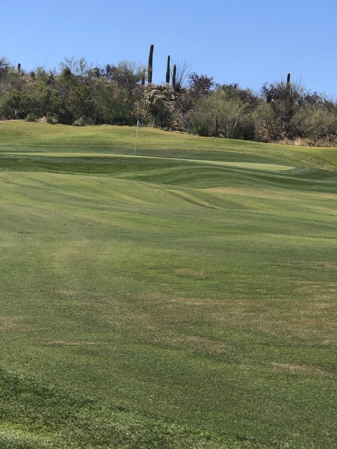 (Photo submitted by u314162733387 on 06/01/2022)