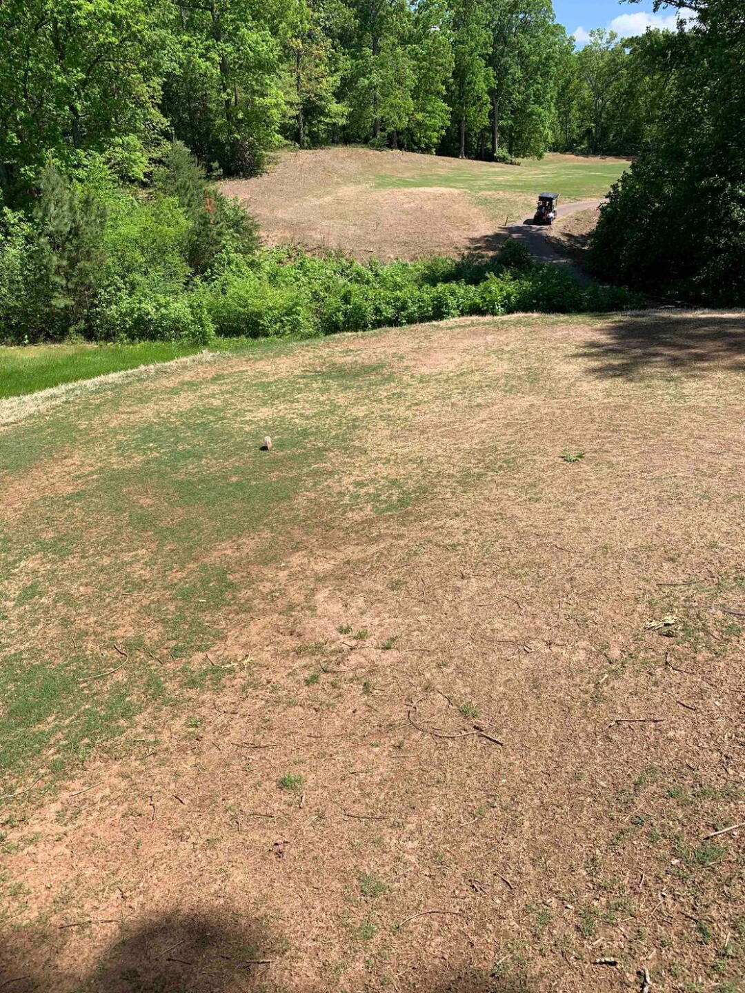 Typical Tee Box (Photo submitted by VSGP8MvcM5fQwPXvSDqI on 04/27/2020)