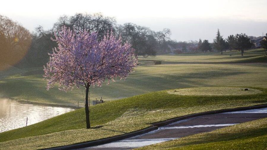 Timber Creek GC - Sierra Pines