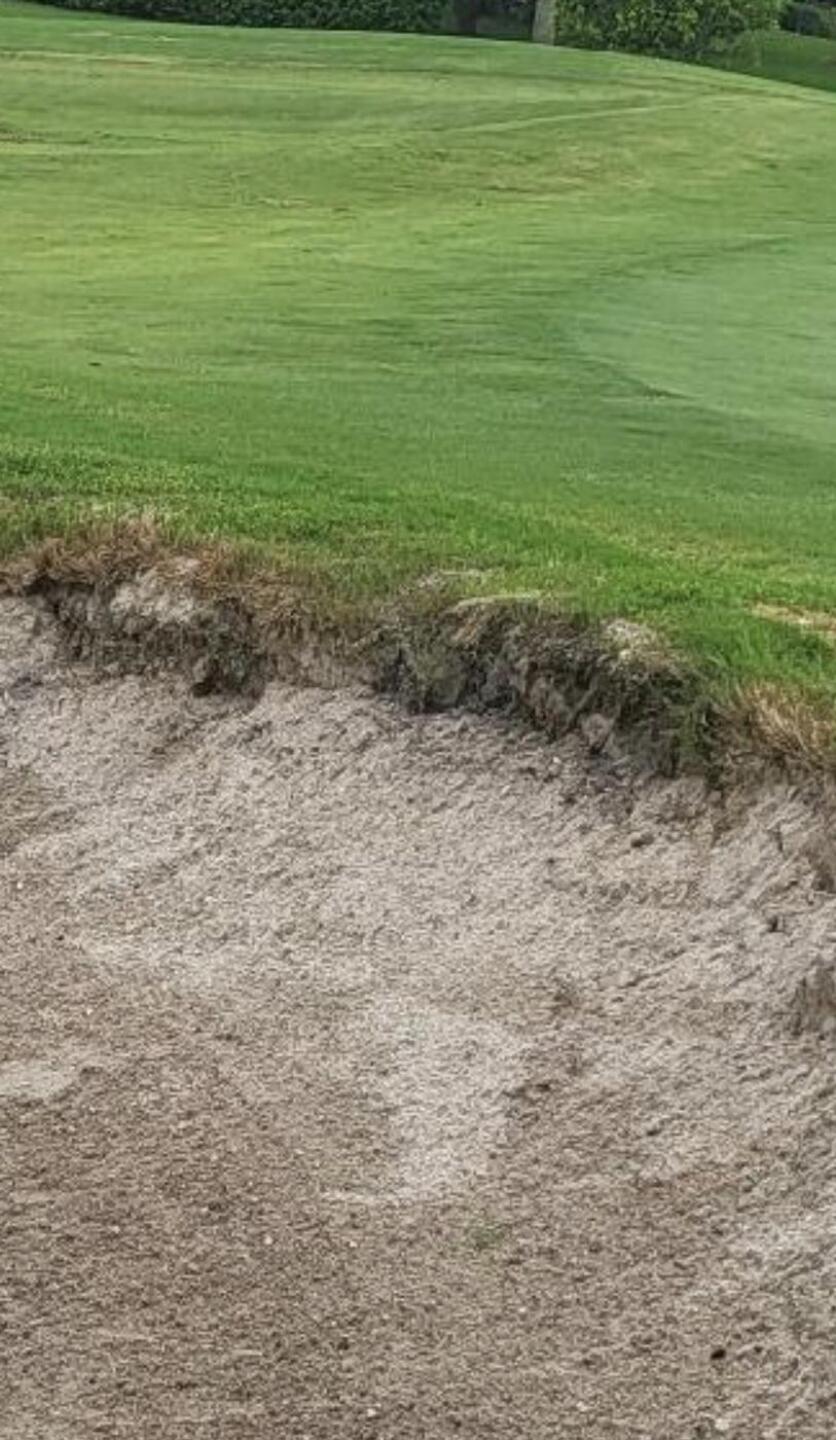 (Photo submitted by u551149055 on 08/28/2023)