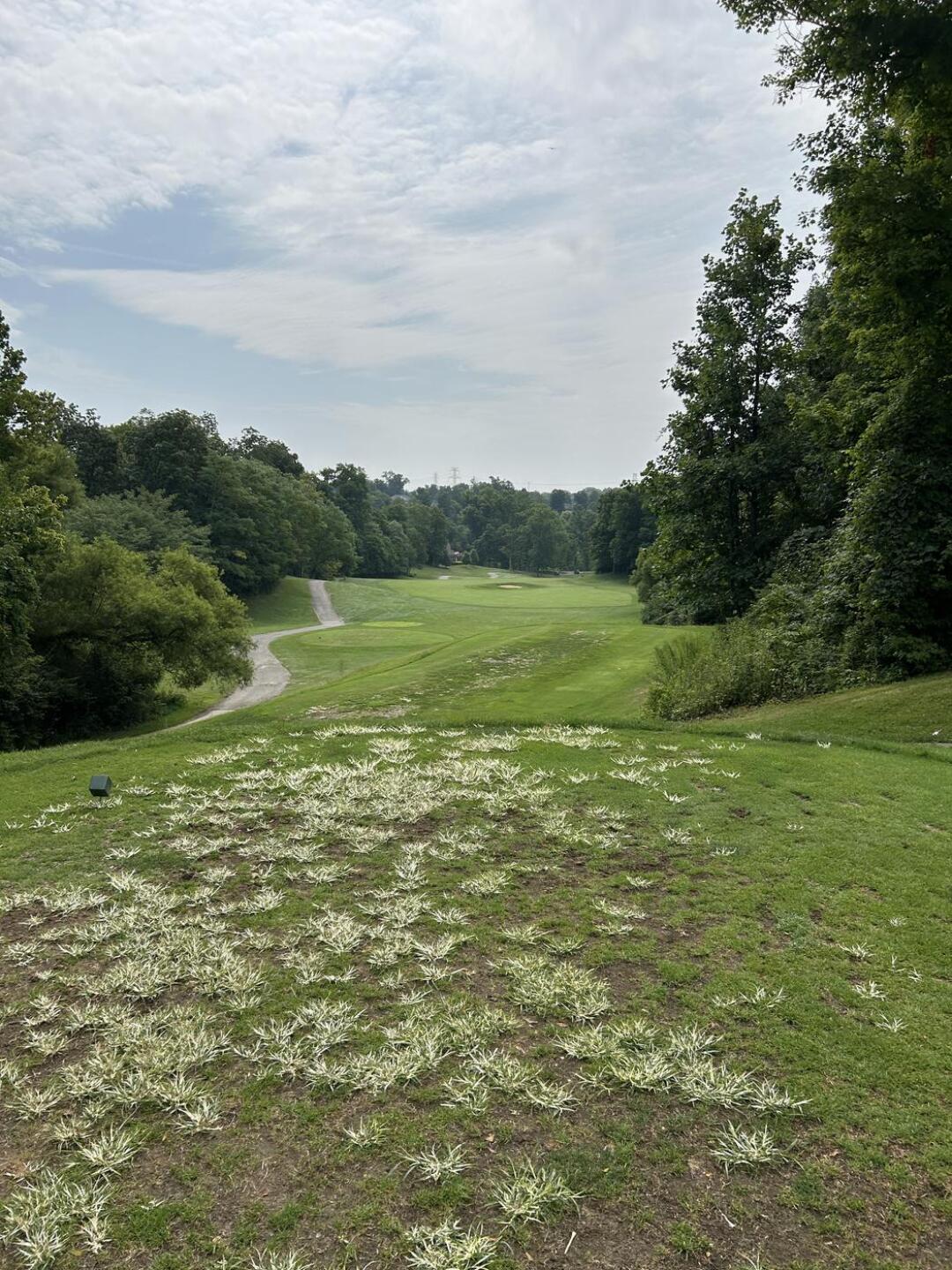 (Photo submitted by u369315099 on 07/29/2024)