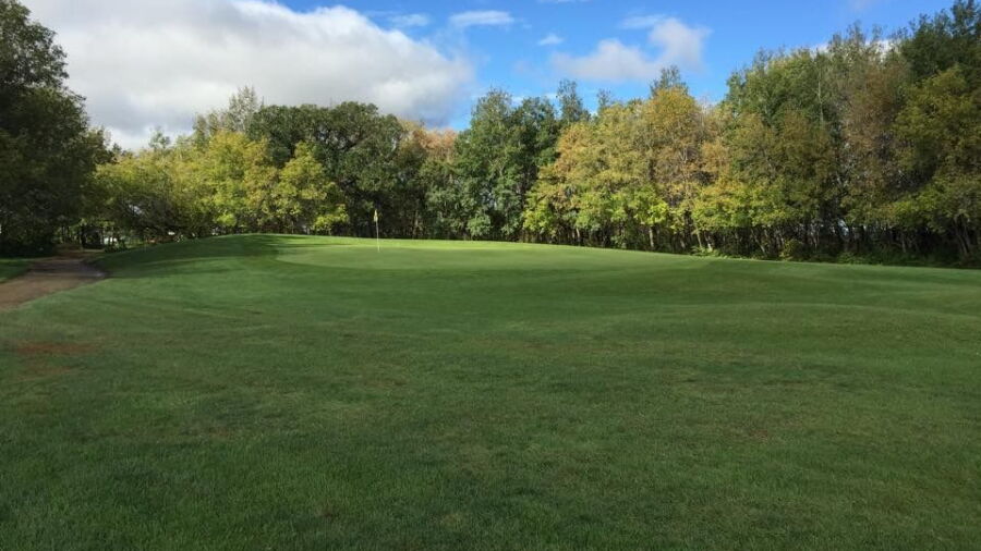 Scotswood Links