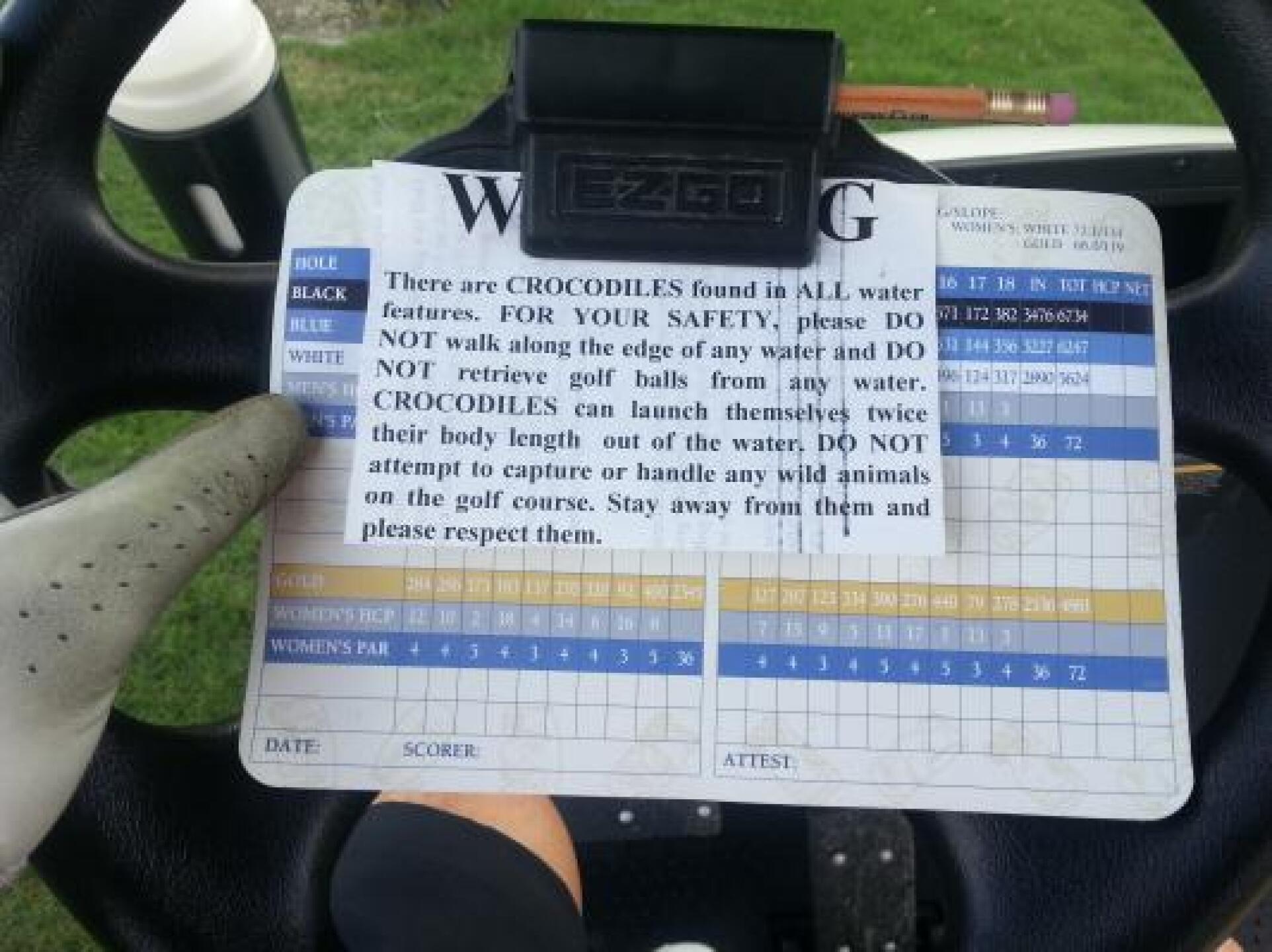 (Photo submitted by Baalam on 01/02/2015)