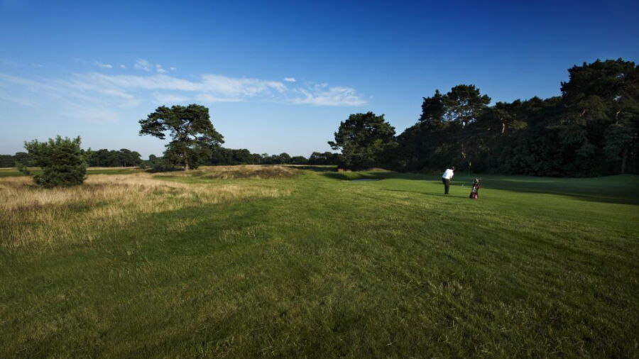 Meyrick Park GC