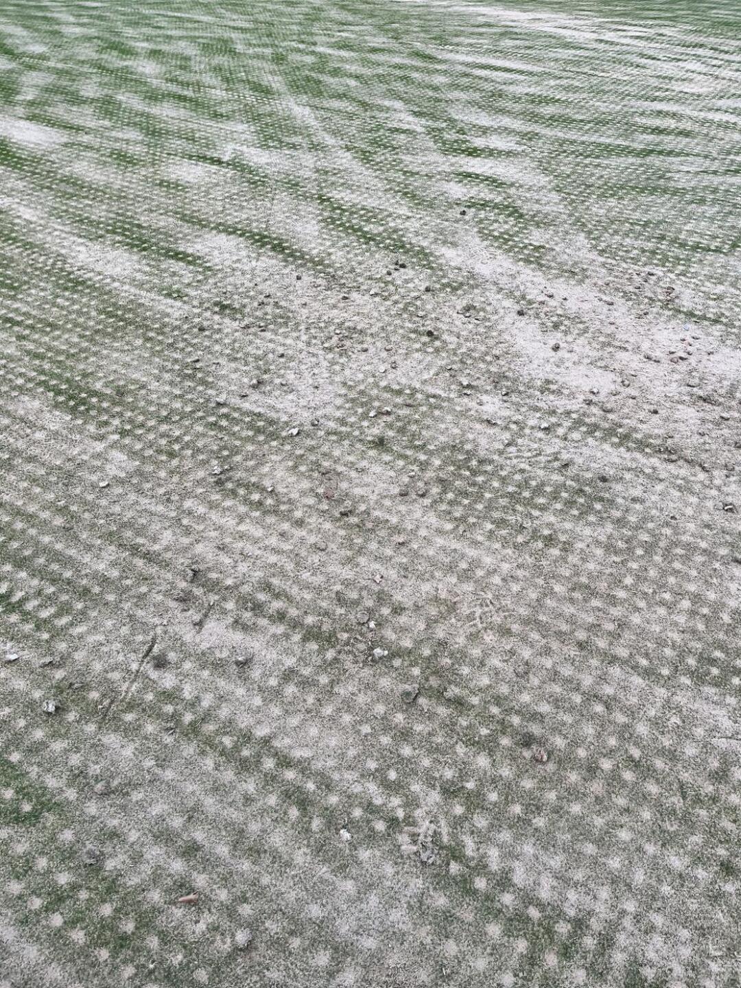 (Photo submitted by John20182018 on 09/05/2024)